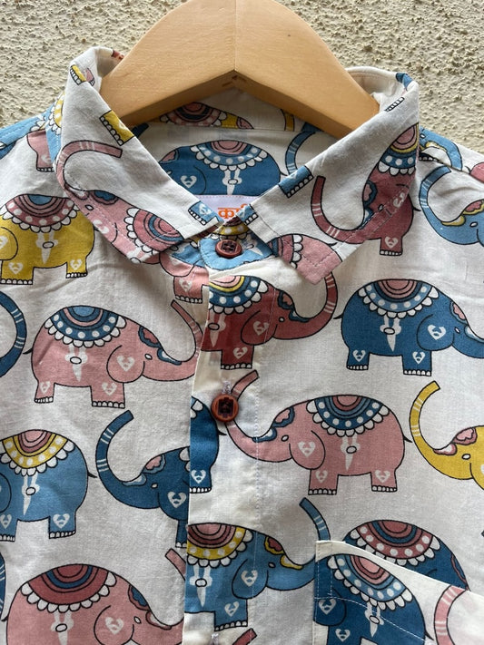 Kartikeya Jaipur Full Sleeve Elephant Print Men's Shirt