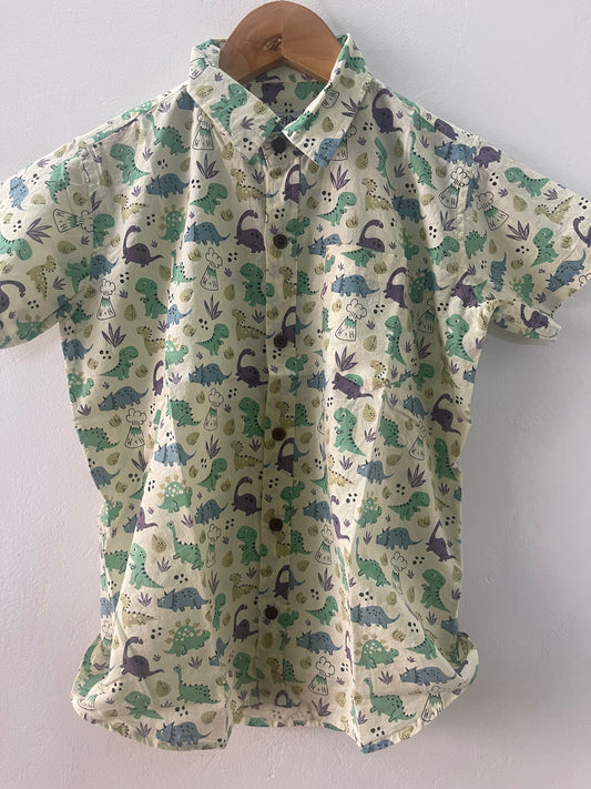 Cute Dino Hand Block Print Cotton Kids Shirt- Oversized