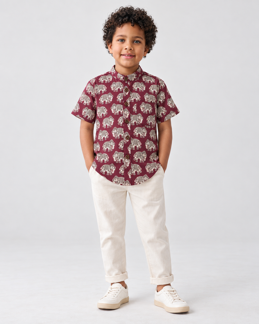 Elephant Print Cotton Short Kurta For Boys