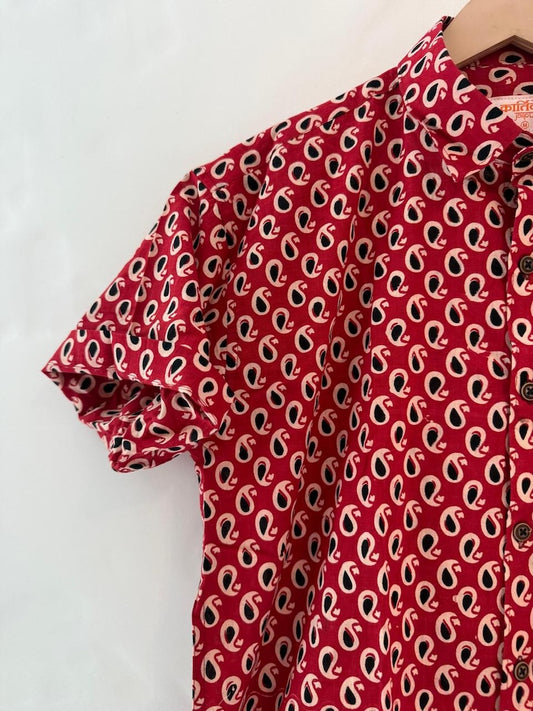 Kalamkari Print Sanganeri Cotton Shirt for Men