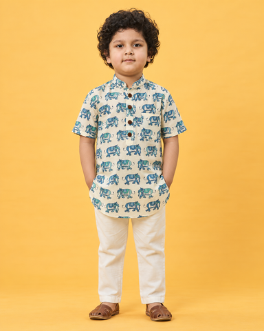 Traditional Elephat Print Cotton Short Kurta For Boys