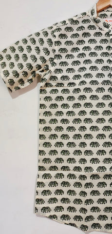 Traditional Elephant Print Cotton Shirt For Mens - Green