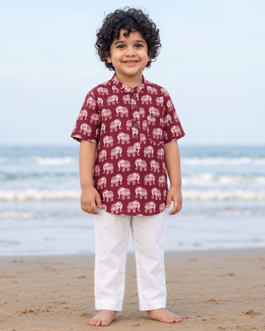 Traditional Elephat Print Cotton Short Kurta For Boys