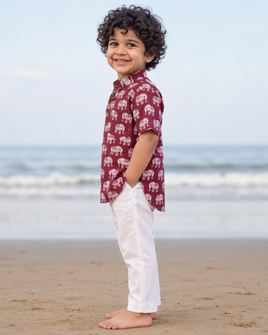 Traditional Elephat Print Cotton Short Kurta For Boys