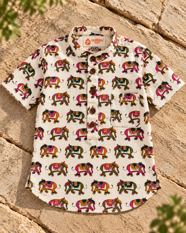 Traditional Elephat Print  Cotton Short Kurta For Boys