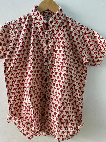 Jaisalmer Print Kids Cotton Shirt