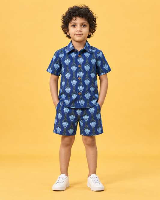 Kartikeye Jaipur Unisex Co ord Sets for Kids