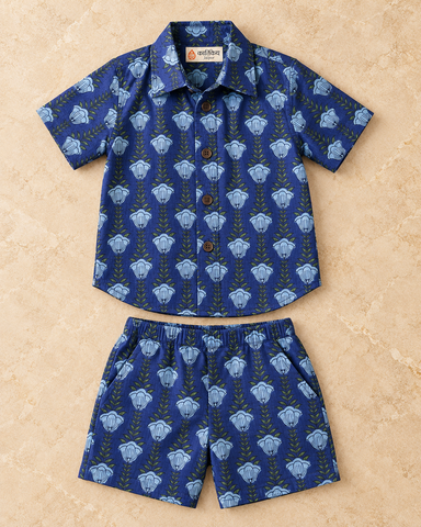 Kartikeye Jaipur Unisex Co ord Sets for Kids