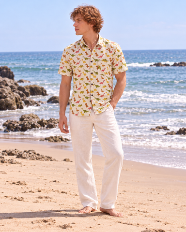 Dino Print Half Sleeve Cotton Men's Shirt