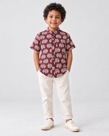 Elephant Print Cotton Short Kurta For Boys
