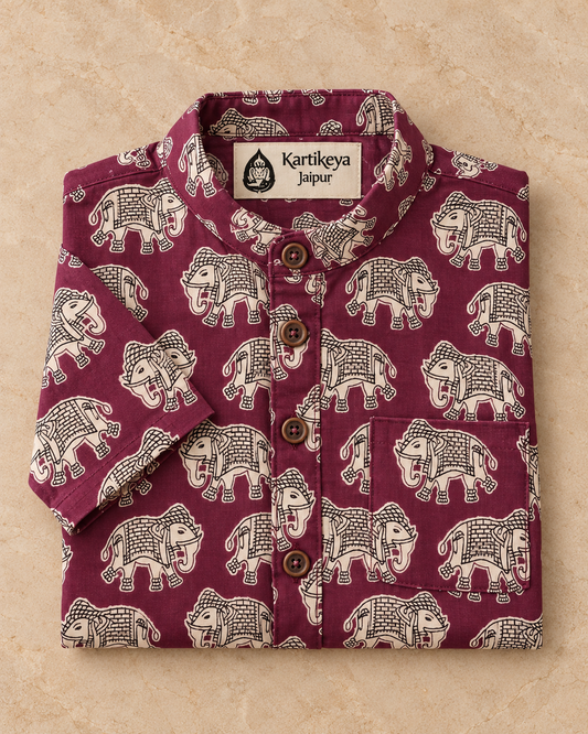 Elephant Print Cotton Short Kurta For Boys