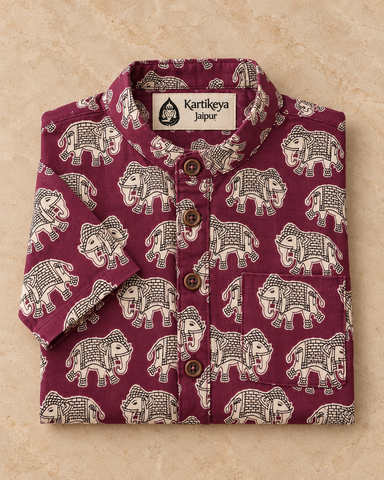 Elephant Print Cotton Short Kurta For Boys